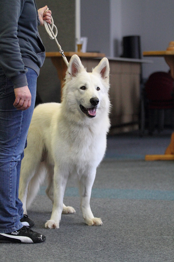Daiko vom Holzener Land
